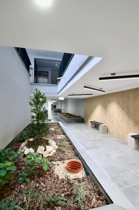 Standard By Hi5-horvath Mihaly Square